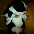 /album/fotogaleria%3a-bullyz-syndicate%c2%b4s-black-pearl-godyne/godyne2-jpg1/